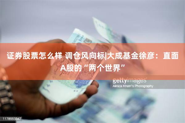 证券股票怎么样 调仓风向标|大成基金徐彦：直面A股的“两个世界”