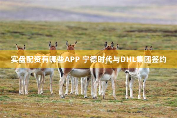 实盘配资有哪些APP 宁德时代与DHL集团签约