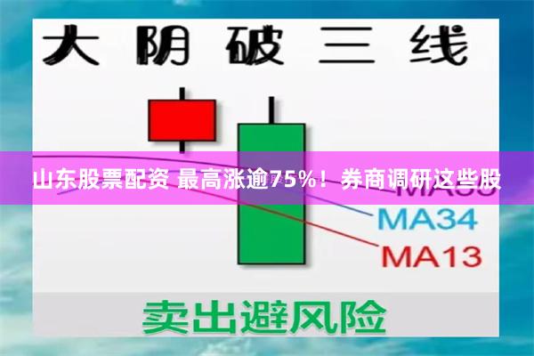 山东股票配资 最高涨逾75%！券商调研这些股