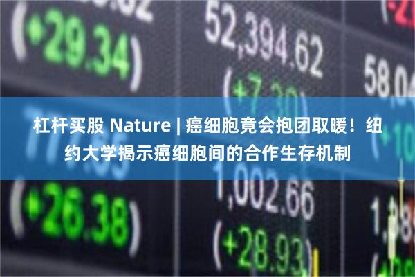 杠杆买股 Nature | 癌细胞竟会抱团取暖！纽约大学揭示癌细胞间的合作生存机制