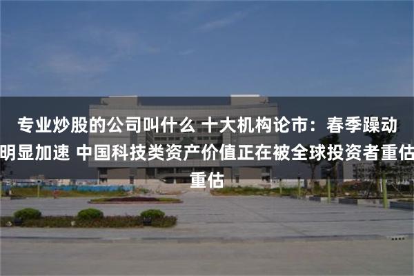 专业炒股的公司叫什么 十大机构论市：春季躁动明显加速 中国科技类资产价值正在被全球投资者重估