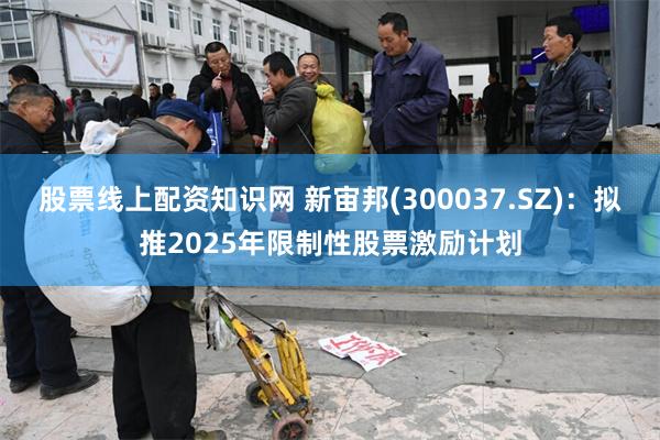 股票线上配资知识网 新宙邦(300037.SZ)：拟推2025年限制性股票激励计划