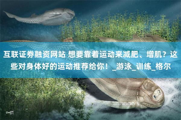 互联证劵融资网站 想要靠着运动来减肥、增肌？这些对身体好的运动推荐给你！_游泳_训练_格尔