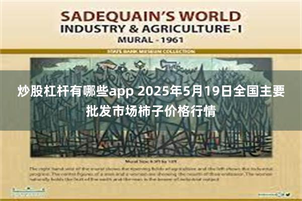 炒股杠杆有哪些app 2025年5月19日全国主要批发市场柿子价格行情