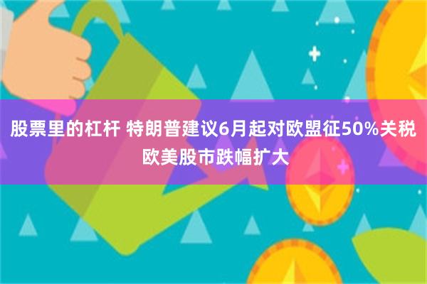 股票里的杠杆 特朗普建议6月起对欧盟征50%关税 欧美股市跌幅扩大