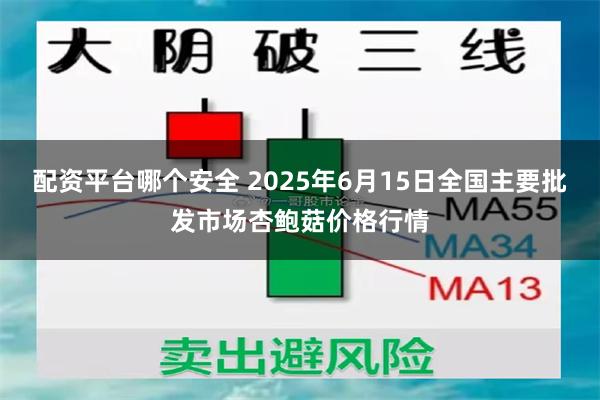 配资平台哪个安全 2025年6月15日全国主要批发市场杏鲍菇价格行情