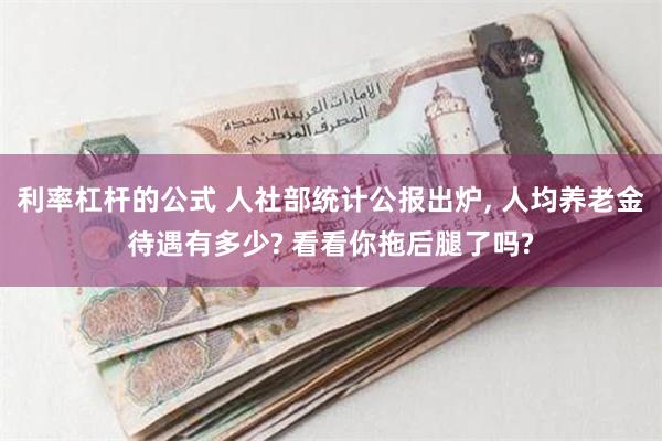 利率杠杆的公式 人社部统计公报出炉, 人均养老金待遇有多少? 看看你拖后腿了吗?