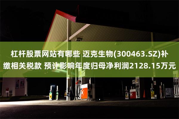 杠杆股票网站有哪些 迈克生物(300463.SZ)补缴相关税款 预计影响年度归母净利润2128.15万元