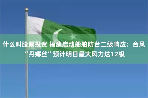 什么叫股票投资 福建启动船舶防台二级响应：台风“丹娜丝”预计明日最大风力达12级